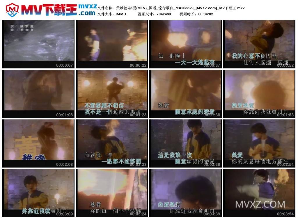 黄维德-热爱(MTV)_国语_流行歌曲_MA208829